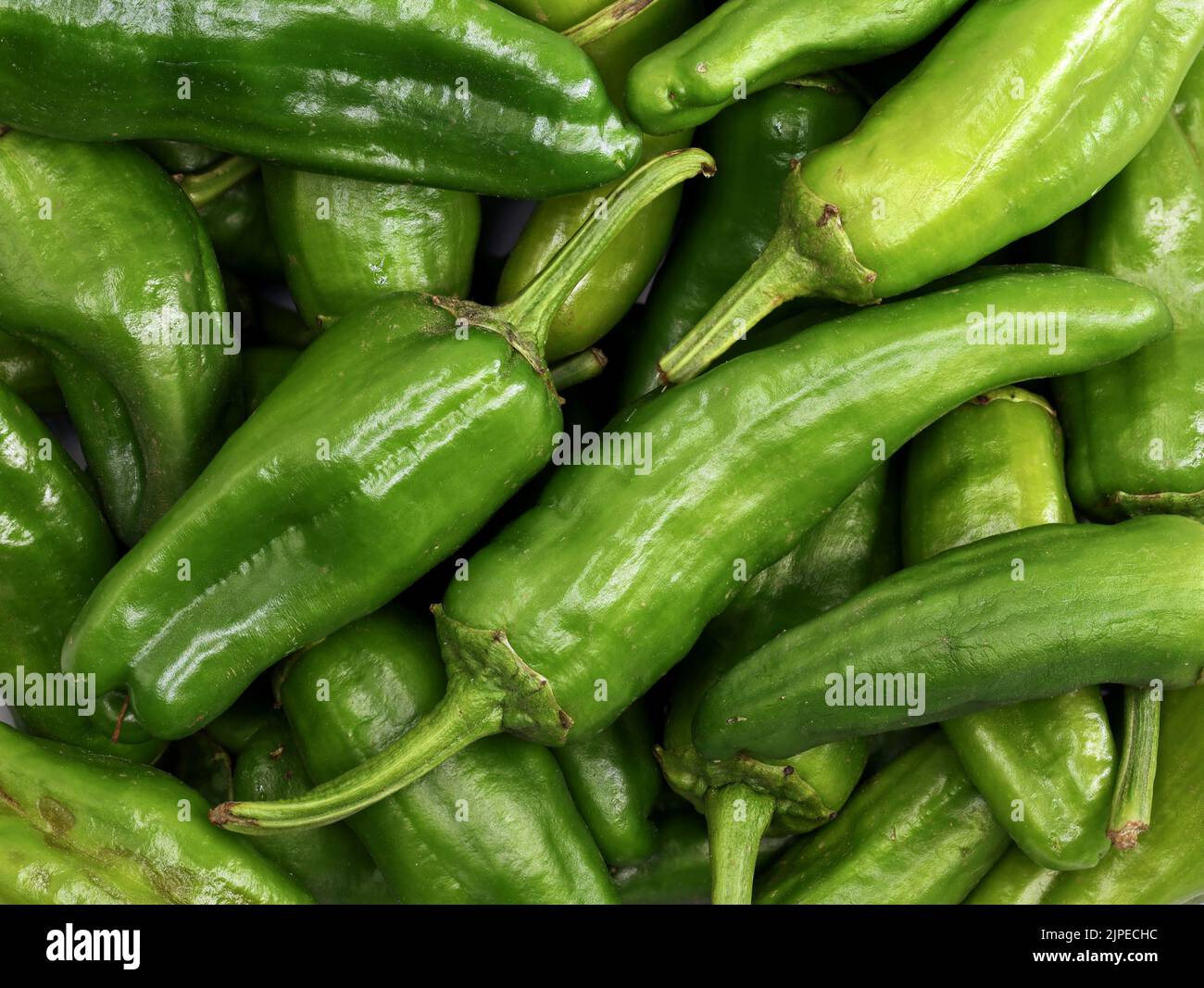 close up of fresh ripe padron peppers, top view of capsicum annuum, green pepper from spain Stock Photo