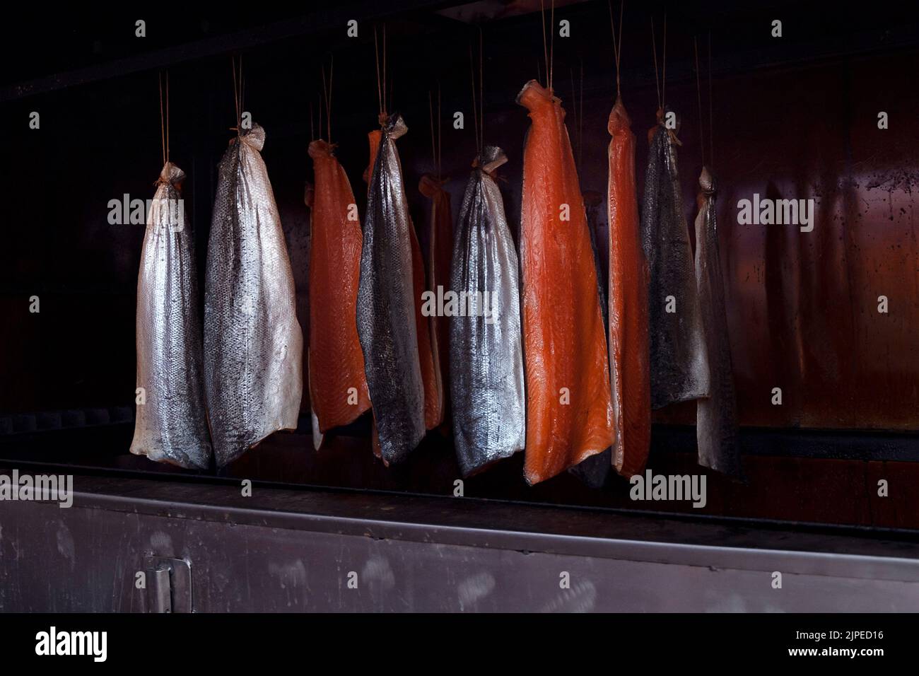 Salmon fish hanging in smokehouse. Smoked fish, traditional way of fish preserving. Stock Photo