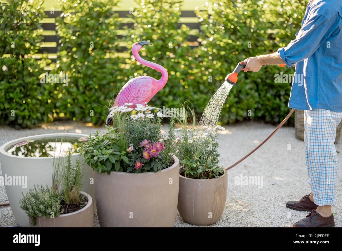 Guy watering flowers at garden, cropped view with no face. Husband take care of green plants at backyard of his house on summer time Stock Photo