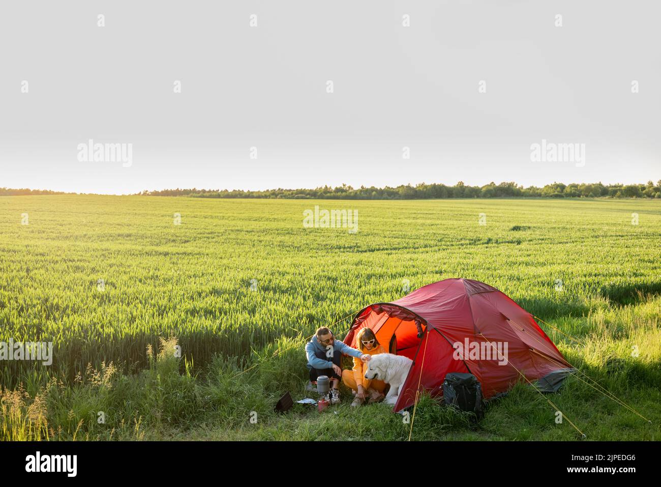Couple spending summer time with a dog at campsite on the green field. Wide view on beautiful wheatfield on sunset. Man and woman travel with tent on Stock Photo