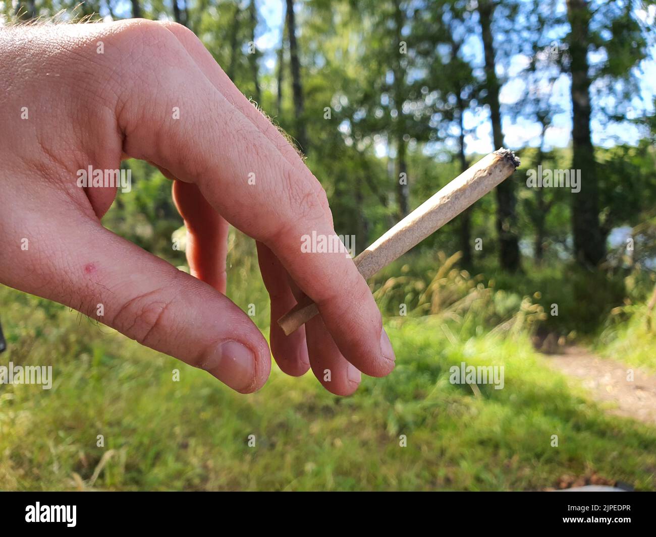 Detail of a hand holding a marijuana or weed joint pictured outdoors