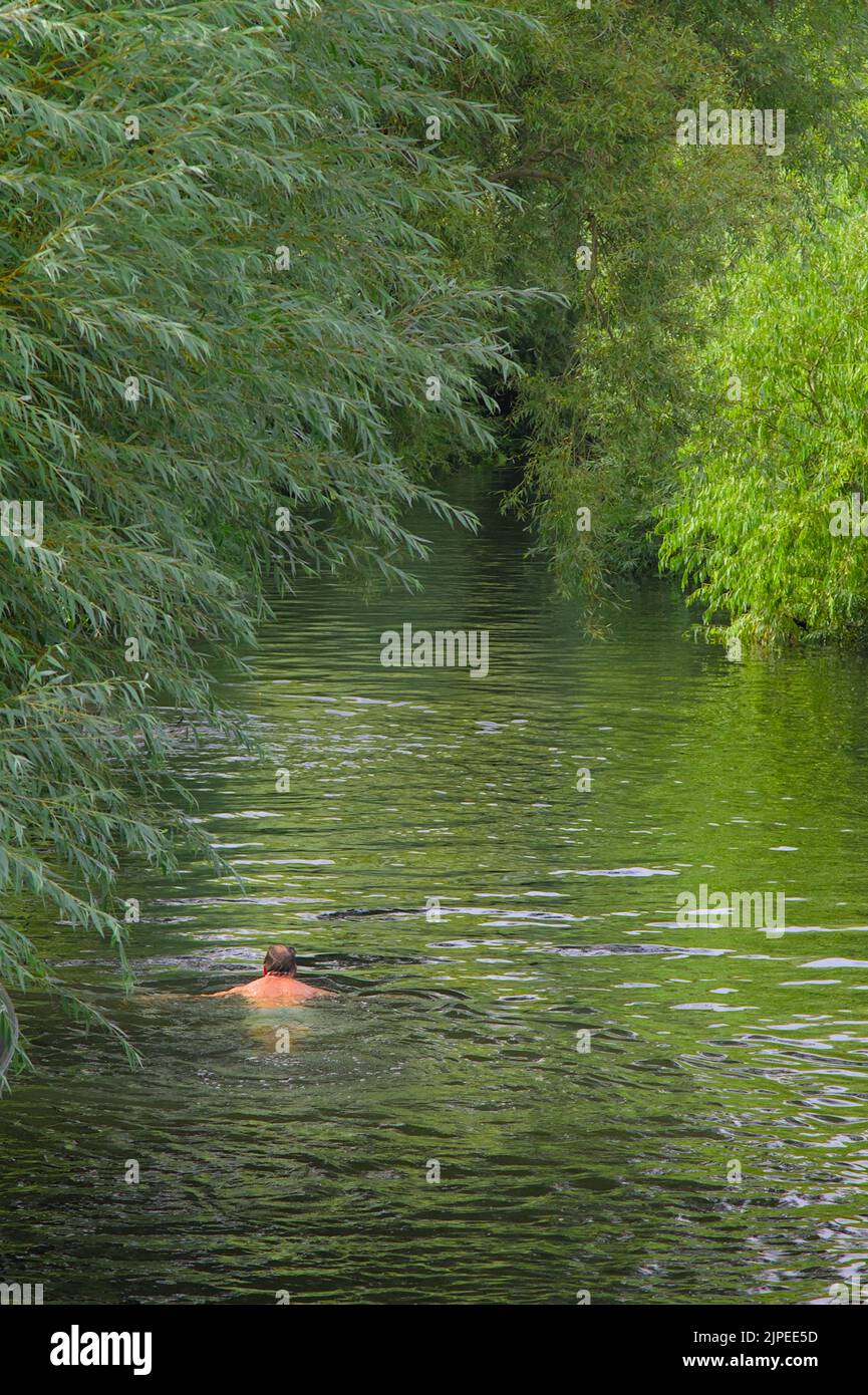 Lone Male Wild Swimming In The River Avon Chrsitchurch Surrounded By Trees, UK Stock Photo