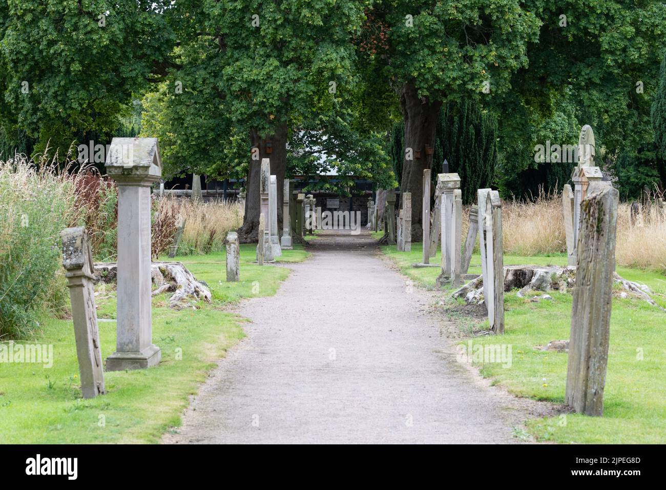 Greyfriars burial ground, an historic cemetery with grass left long to encourage wildlife - Perth, Scotland, UK Stock Photo