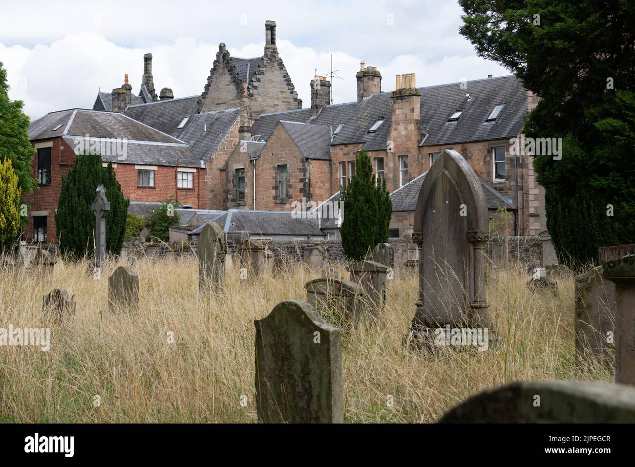 Greyfriars burial ground, an historic cemetery with grass left long to encourage wildlife - Perth, Scotland, UK Stock Photo