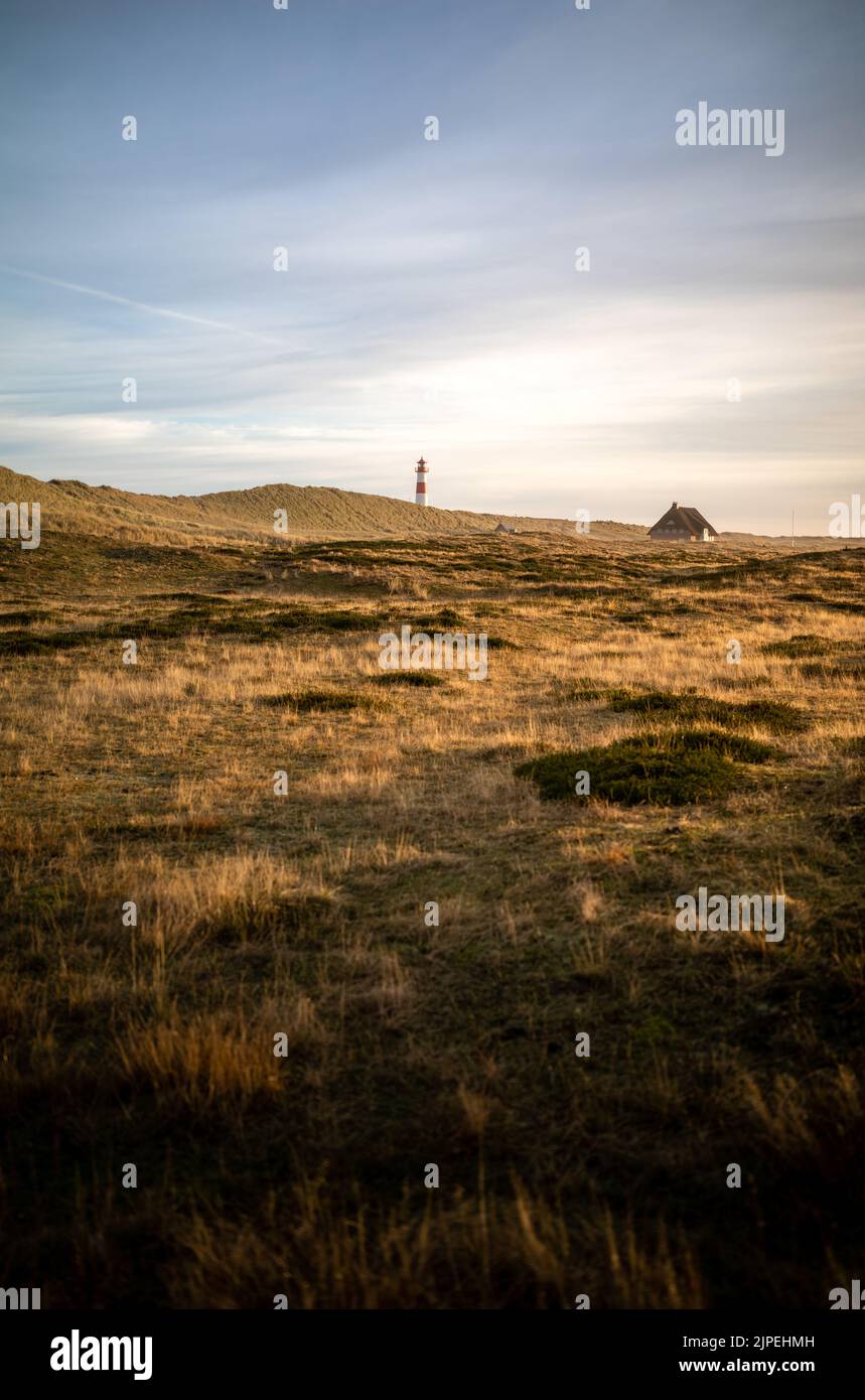 Lighthouse List-Ost surrounded by Nature on Ellenbogen, Sylt, Germany. Stock Photo