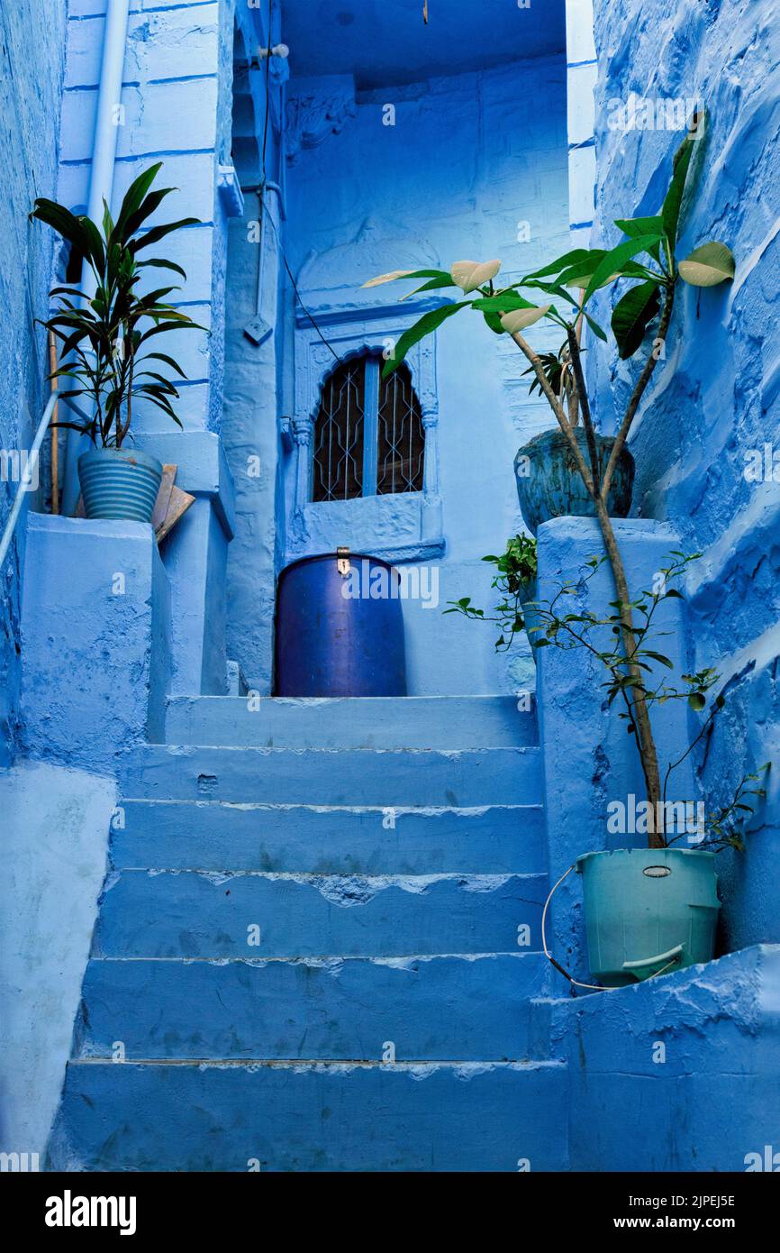 blue, india, jodhpur, blue city, blues, indian, indias, jodhpurs, blue cities Stock Photo