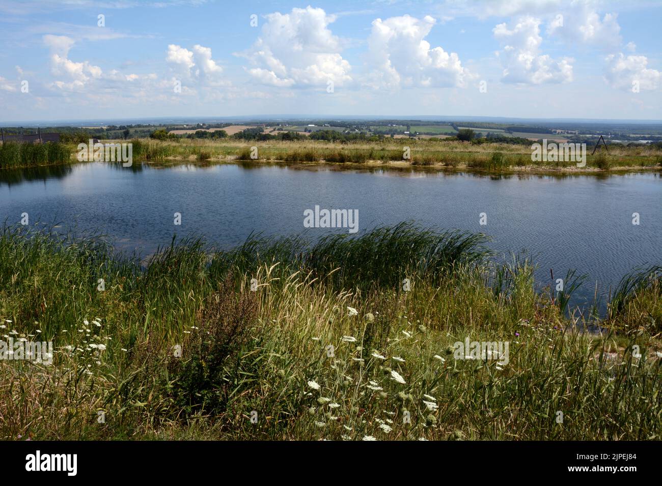 A fresh water pond in a meadow overlooking farmland near the Niagara Escarpment near the town of Creemore, Ontario, Canada. Stock Photo