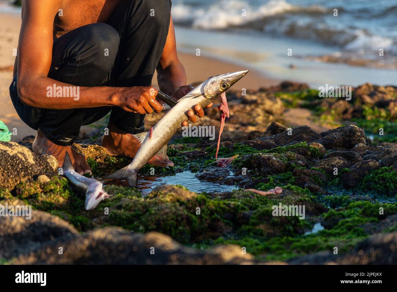 Fisherman and beach hi-res stock photography and images - Page 32 - Alamy