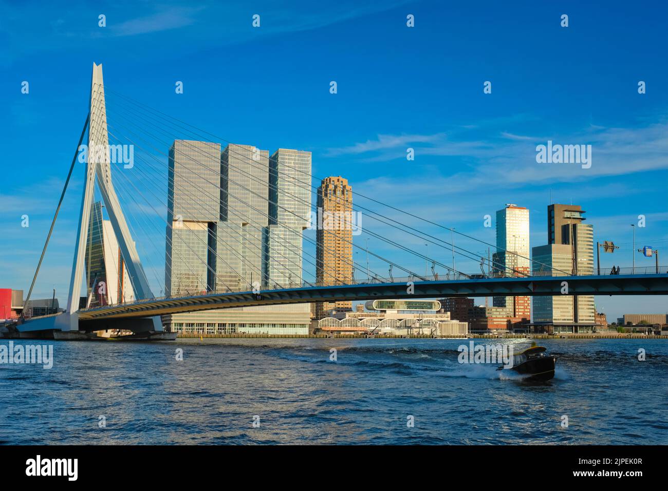 rotterdam, erasmus bridge, erasmusbrug, rotterdams, erasmus bridges