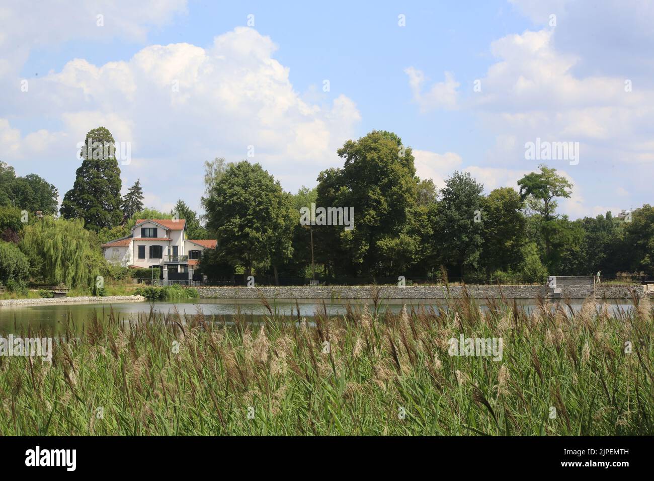 Dégradation écologique. Les étangs de Corot. Ville d'Avray. Haut-de-Seine. Ile-de-France. France. Europe. Stock Photo