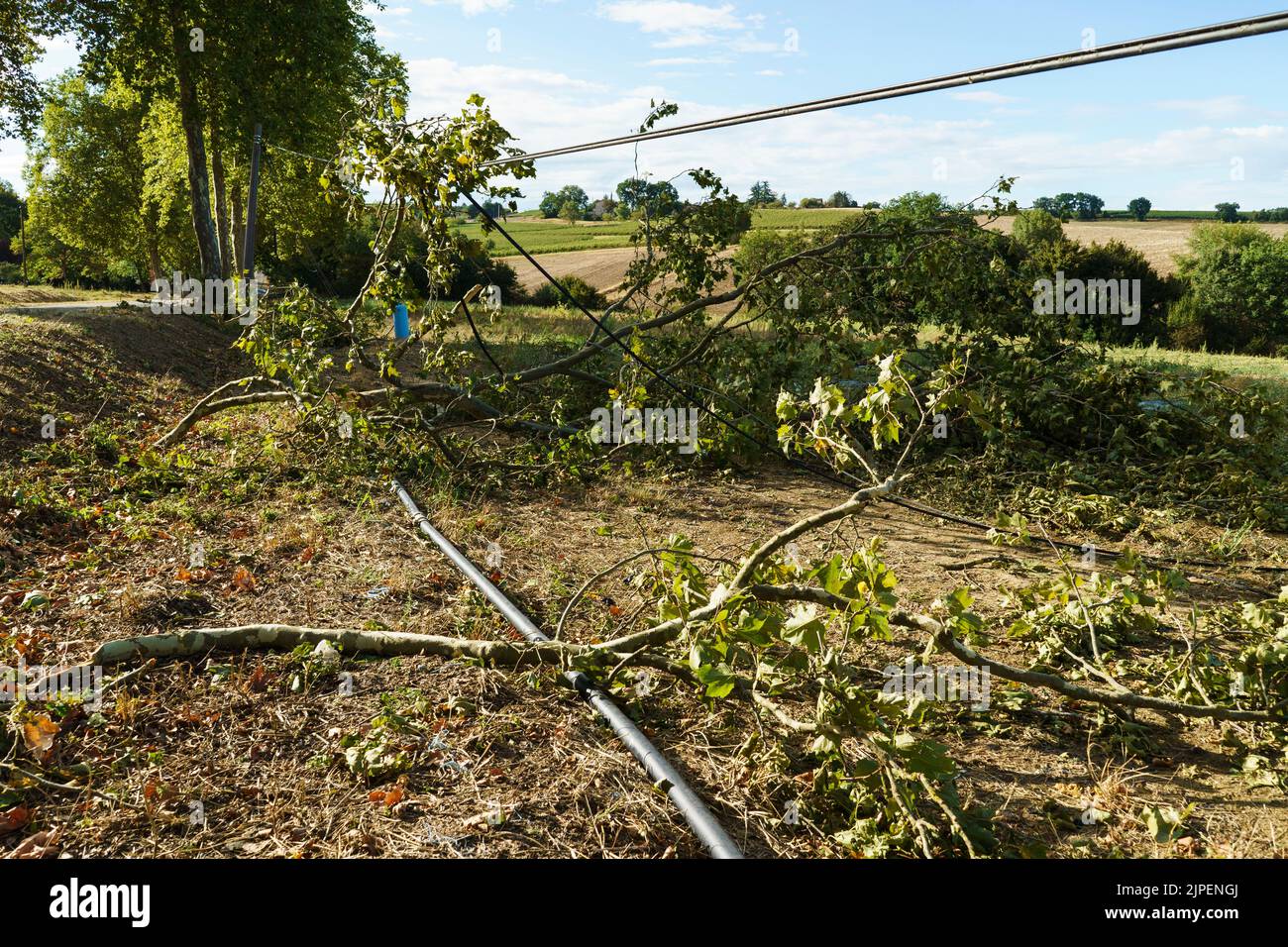 FRANCE: Weather - Telephone lines and poles are brought down by a storm, on a road outside of Condom, France, in August 2022. Global warning and climate change. © Credit:  David Levenson/Alamy Stock Photo