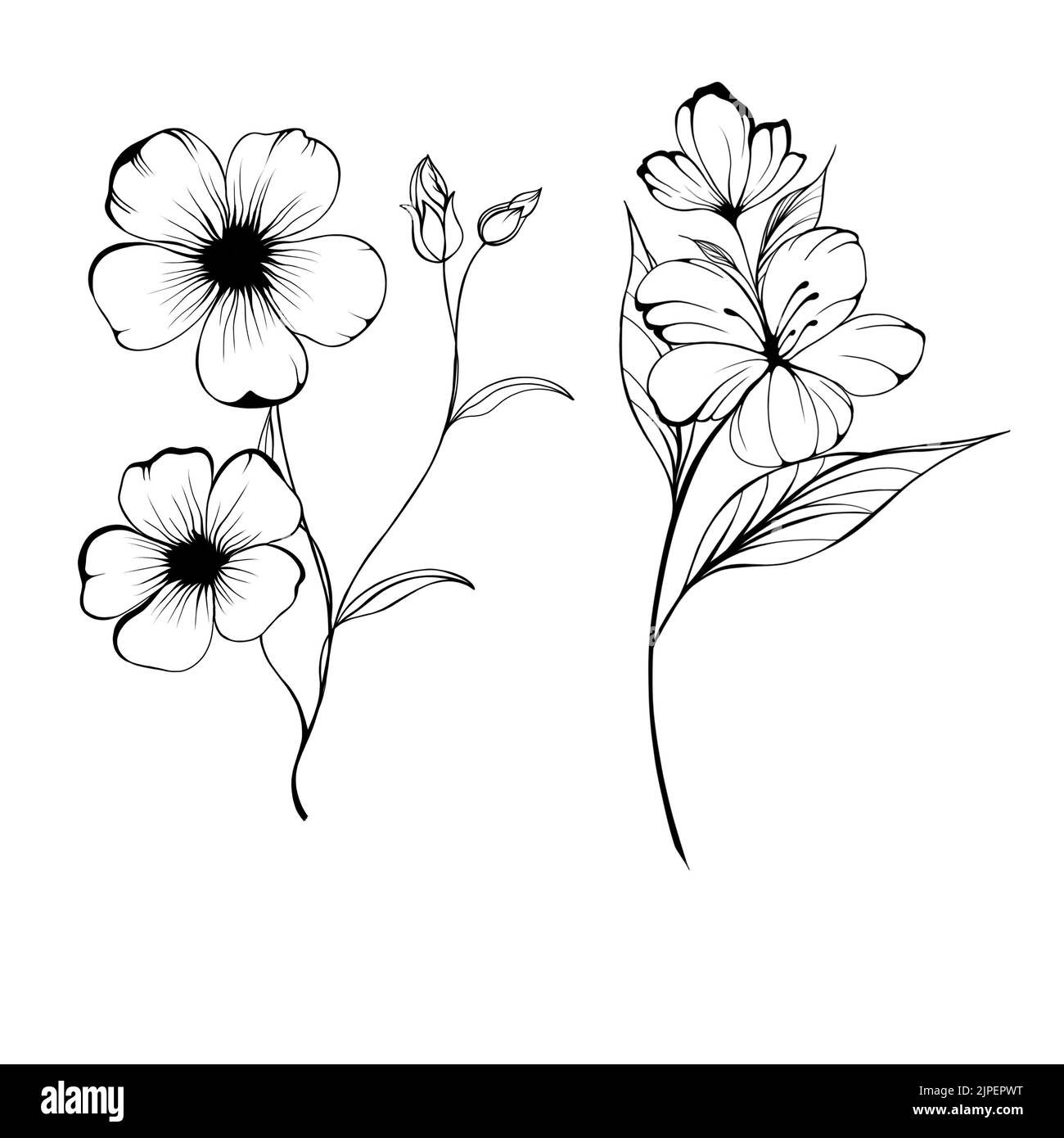 black and white flower sketch background