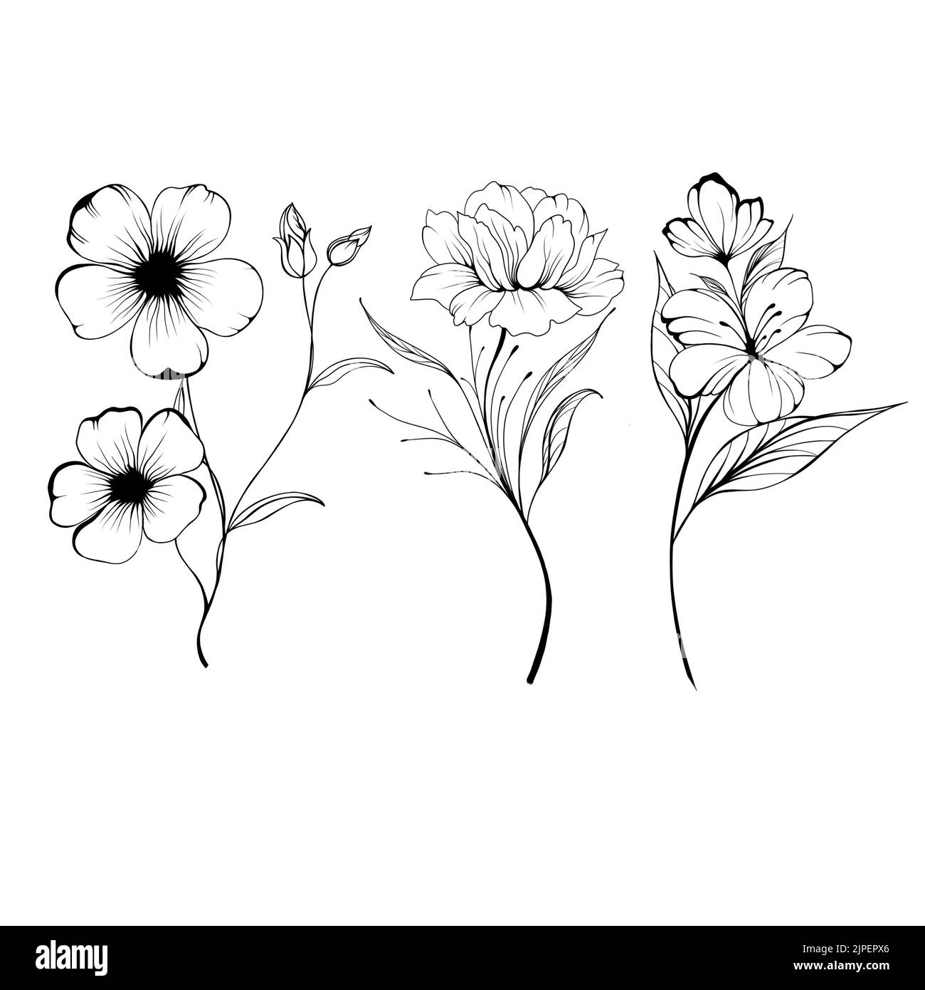 Set Flowers Periwinkle. Hand drawing. Outline. On a white background. Beautiful sketch of a tattoo - a delicate twig with flowers. botany design eleme Stock Photo