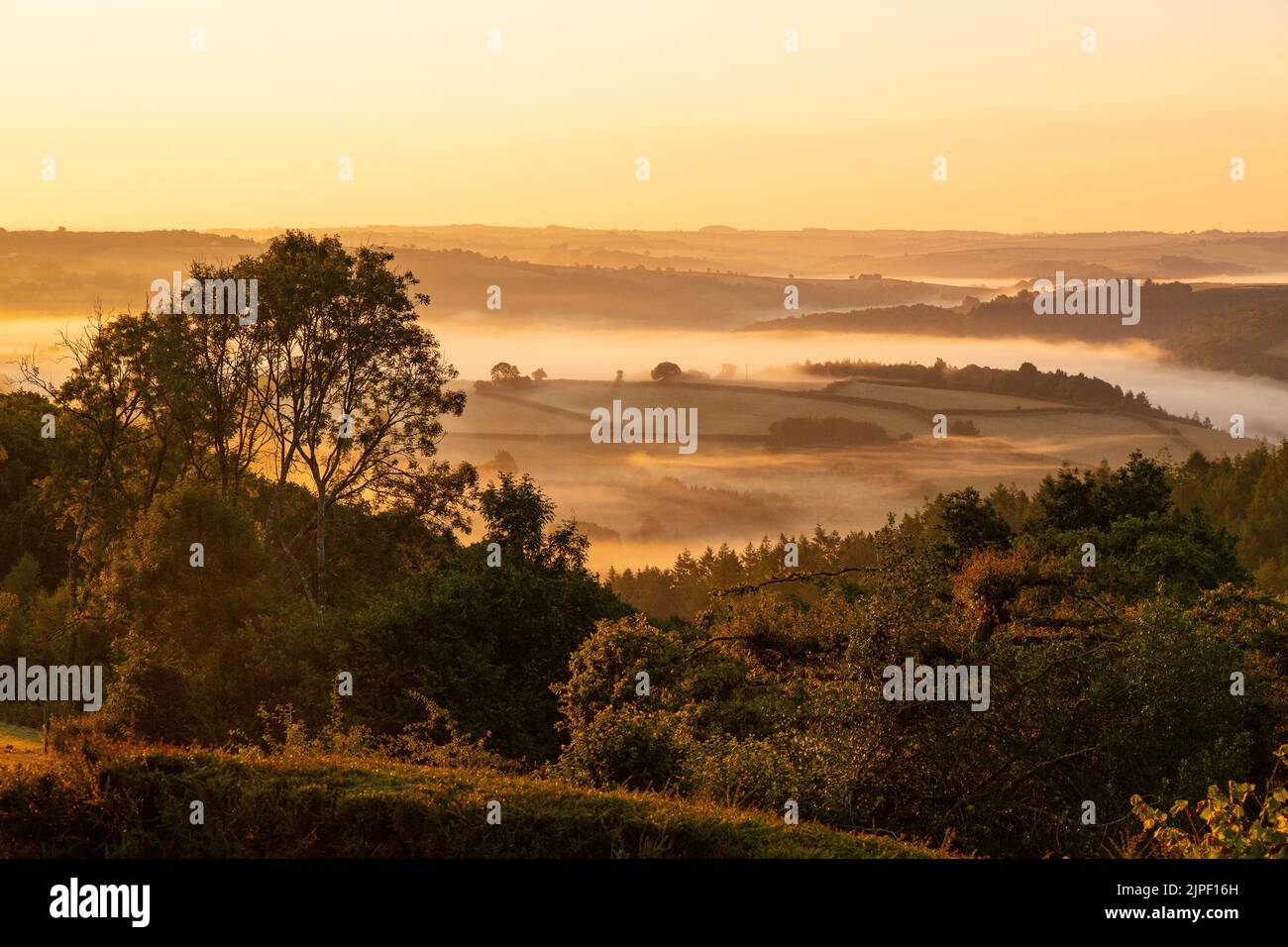 Sunrise, Taw Valley, High Bickington, North Devon, England, United