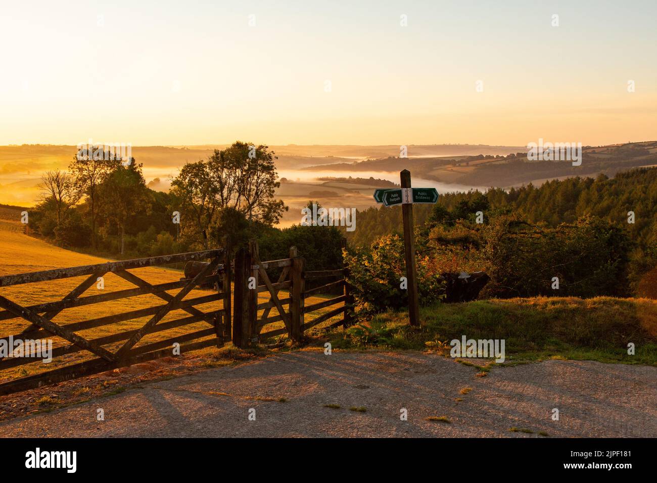 Sunrise, Taw Valley, High Bickington, North Devon, England, United