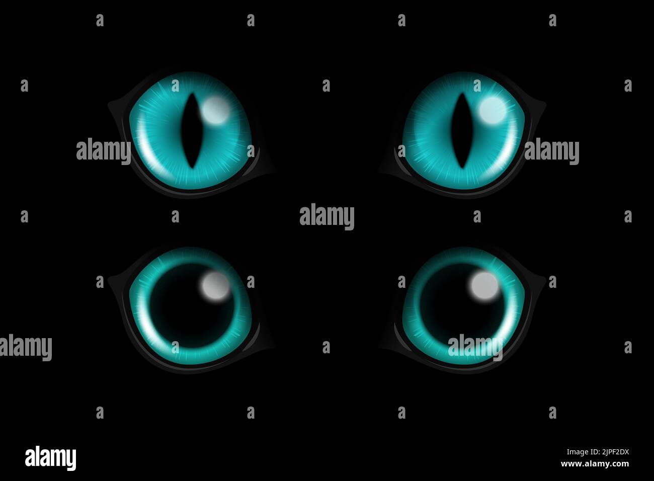 Cats eyes glowing in dark hi-res stock photography and images - Alamy, image size:1300x956