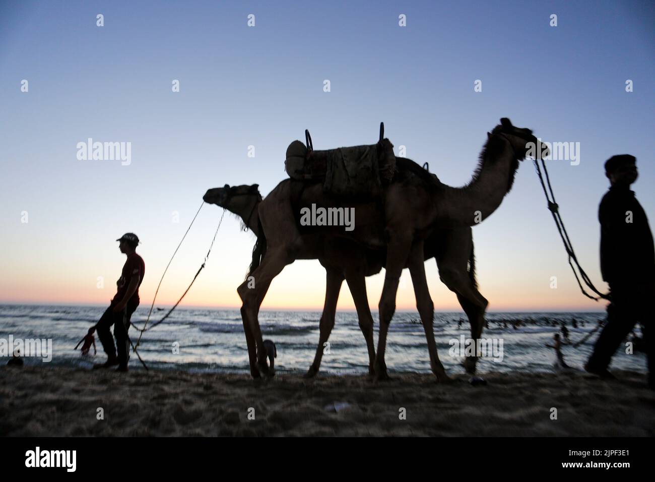 August 17, 2022, Gaza City, The Gaza Strip, Palestine: A Palestinian ...