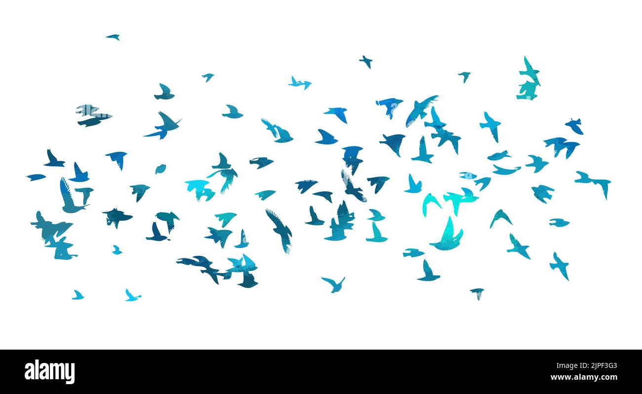 Bird watercolor. A flock of blue birds. Mixed media. Vector