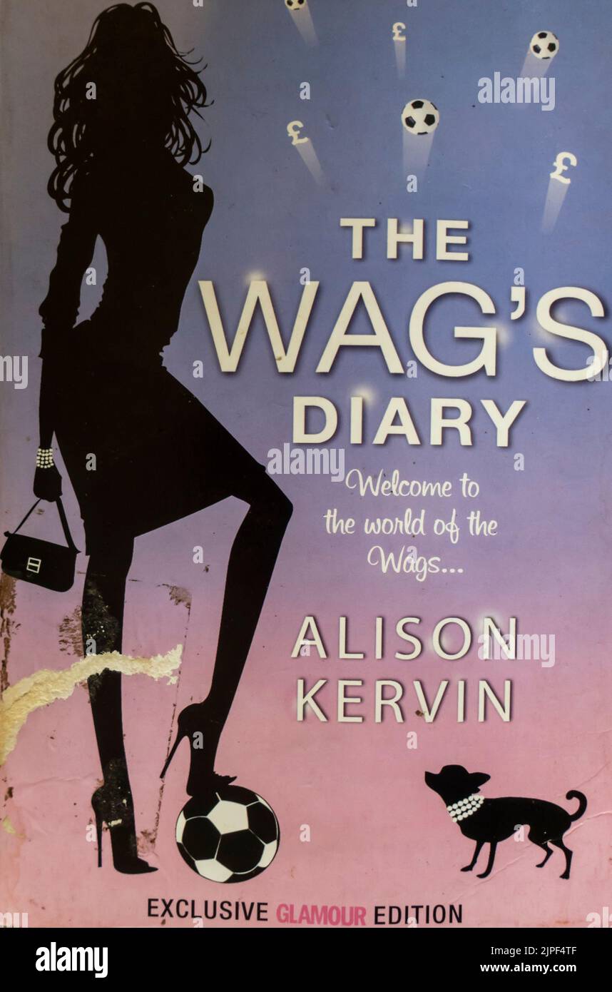 The Wag's Diary - Alison Kervin - 2008 - 1st edition book cover Stock Photo