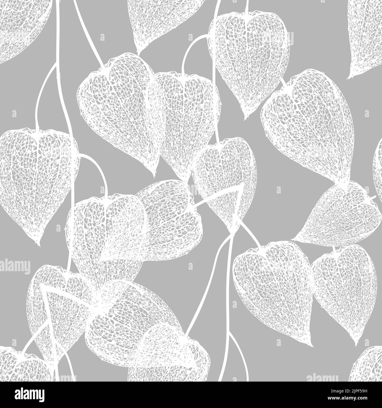 Physalis flowers seamless pattern. Vector illustration Stock Vector
