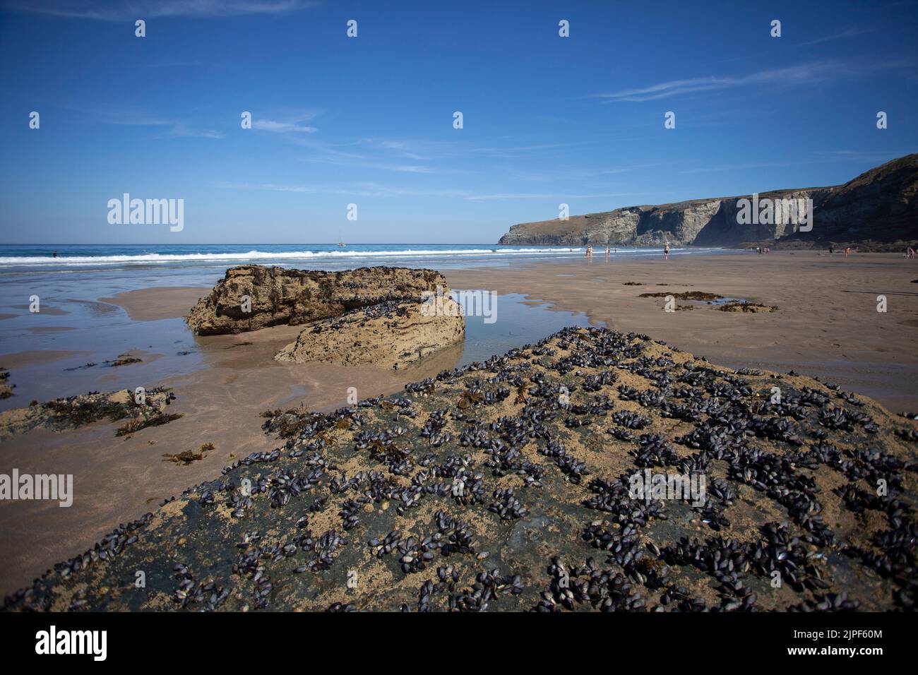 Trbarwith Strand Beach at low tide. Cornwall, England Stock Photo
