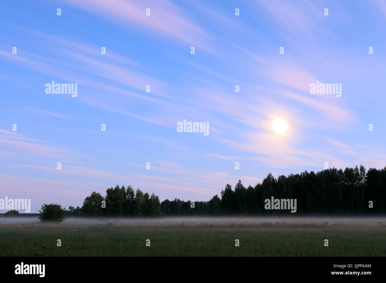 Rural landscape by night. Moon above wood and field with evening fog, magical atmospheric mood. Long exposure shot. Stock Photo