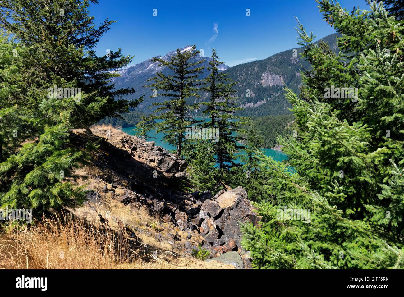 North Cascades national park, lake Diablo, in Washington state with evergreen trees in forefront Stock Photo
