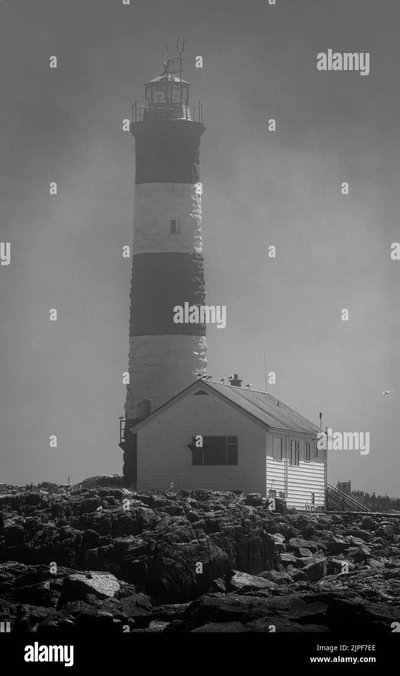 Beautiful lighthouse on the top of a rocky mountain with sea in foggy morning in black and white photo. Lighthouse on black rocks among the fog in the Stock Photo