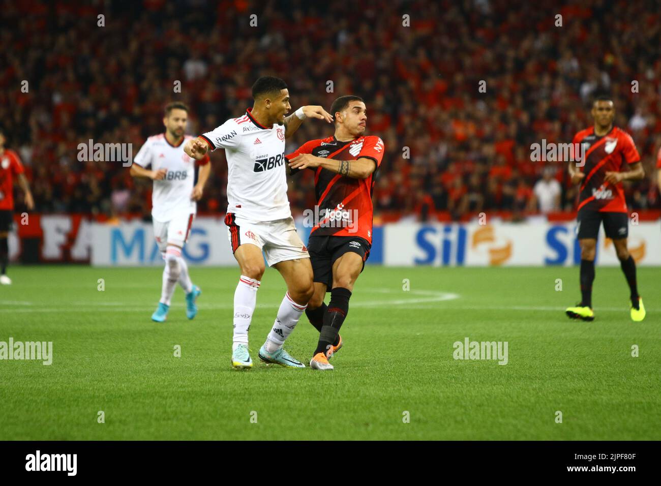 Of flamengo hi-res stock photography and images - Page 17 - Alamy