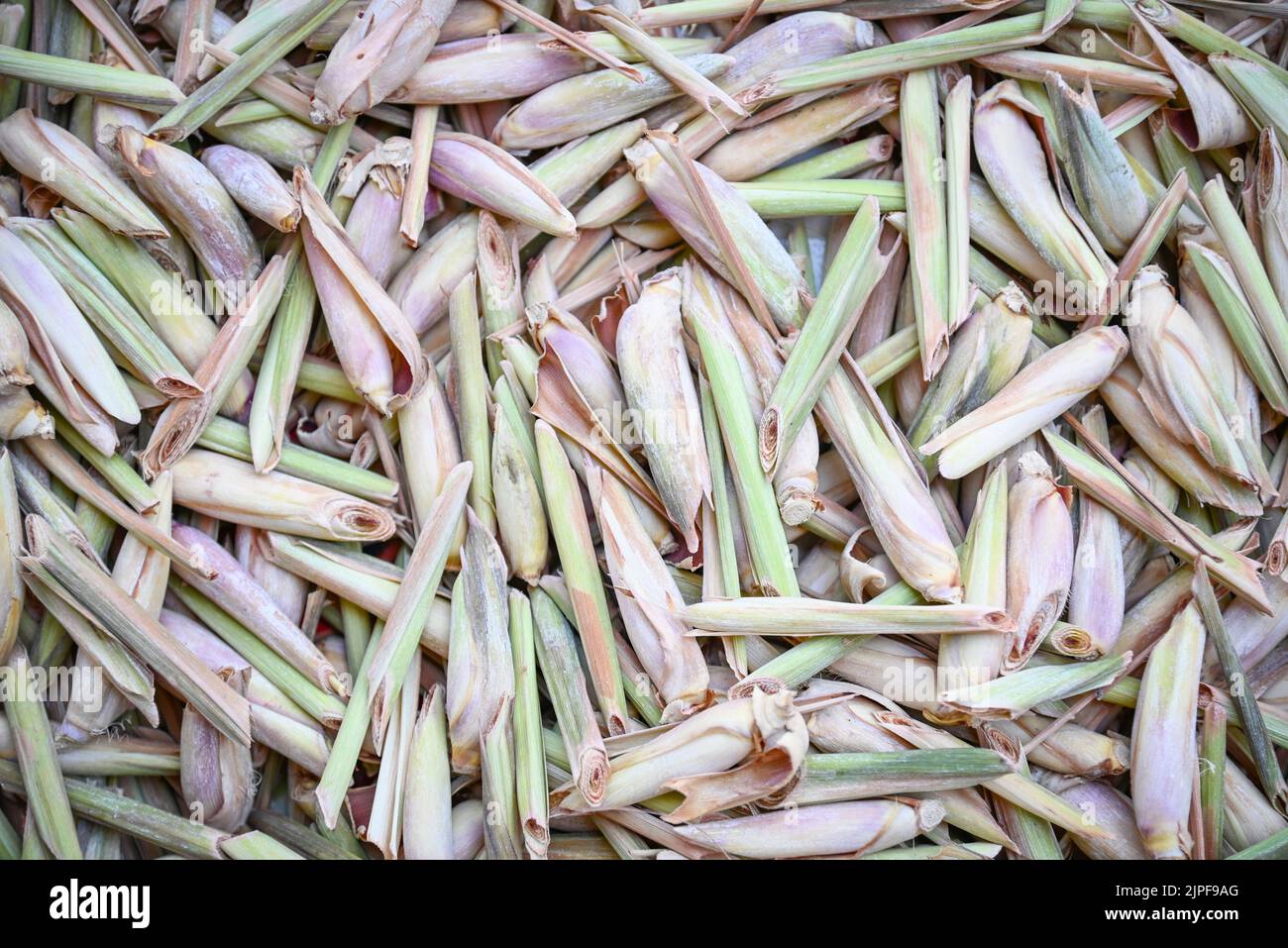 lemongrass tea, lemon grass slice on background, fresh lemon grass dry