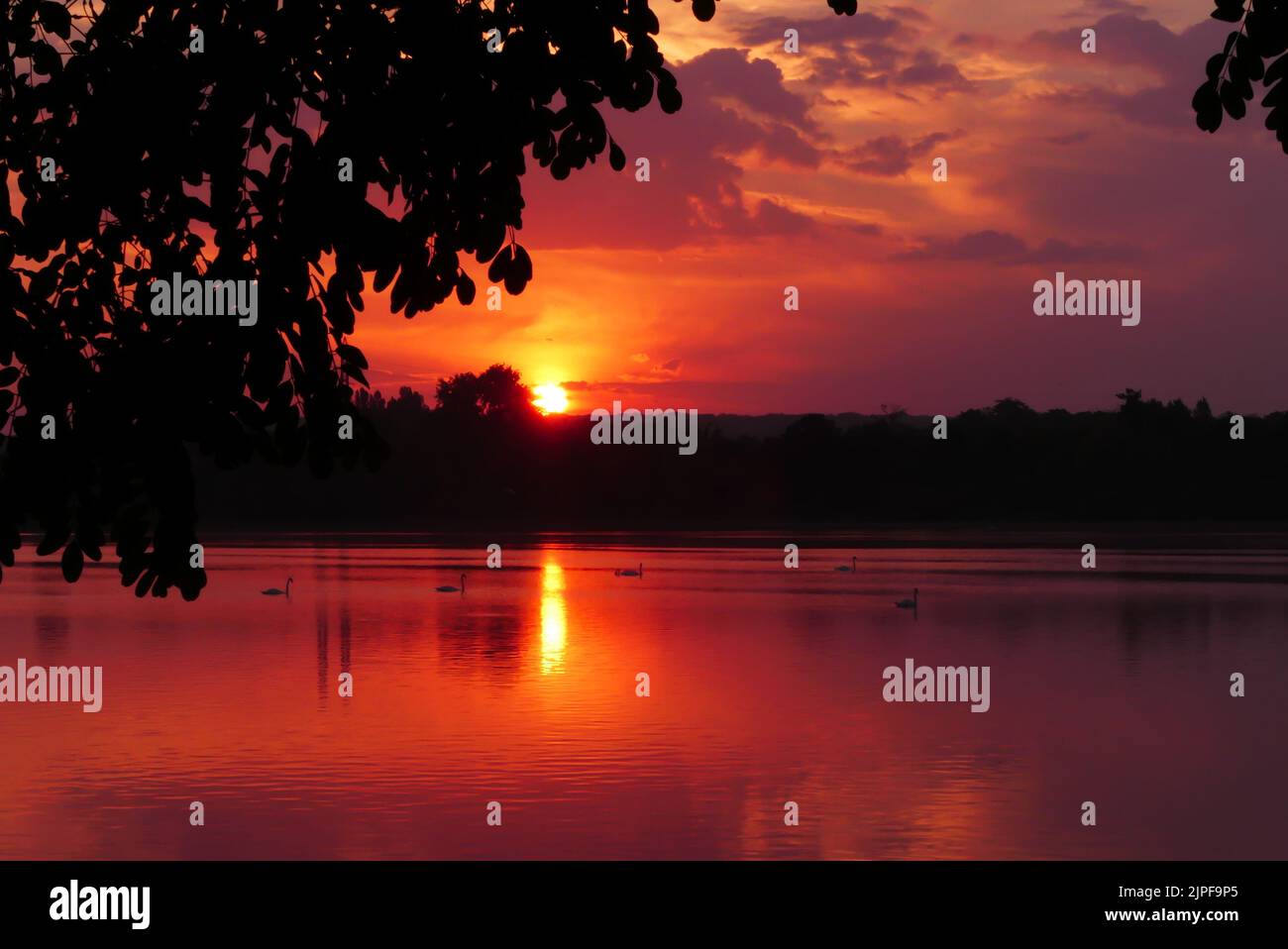 Sunset sky reflecting in water hi-res stock photography and images - Alamy