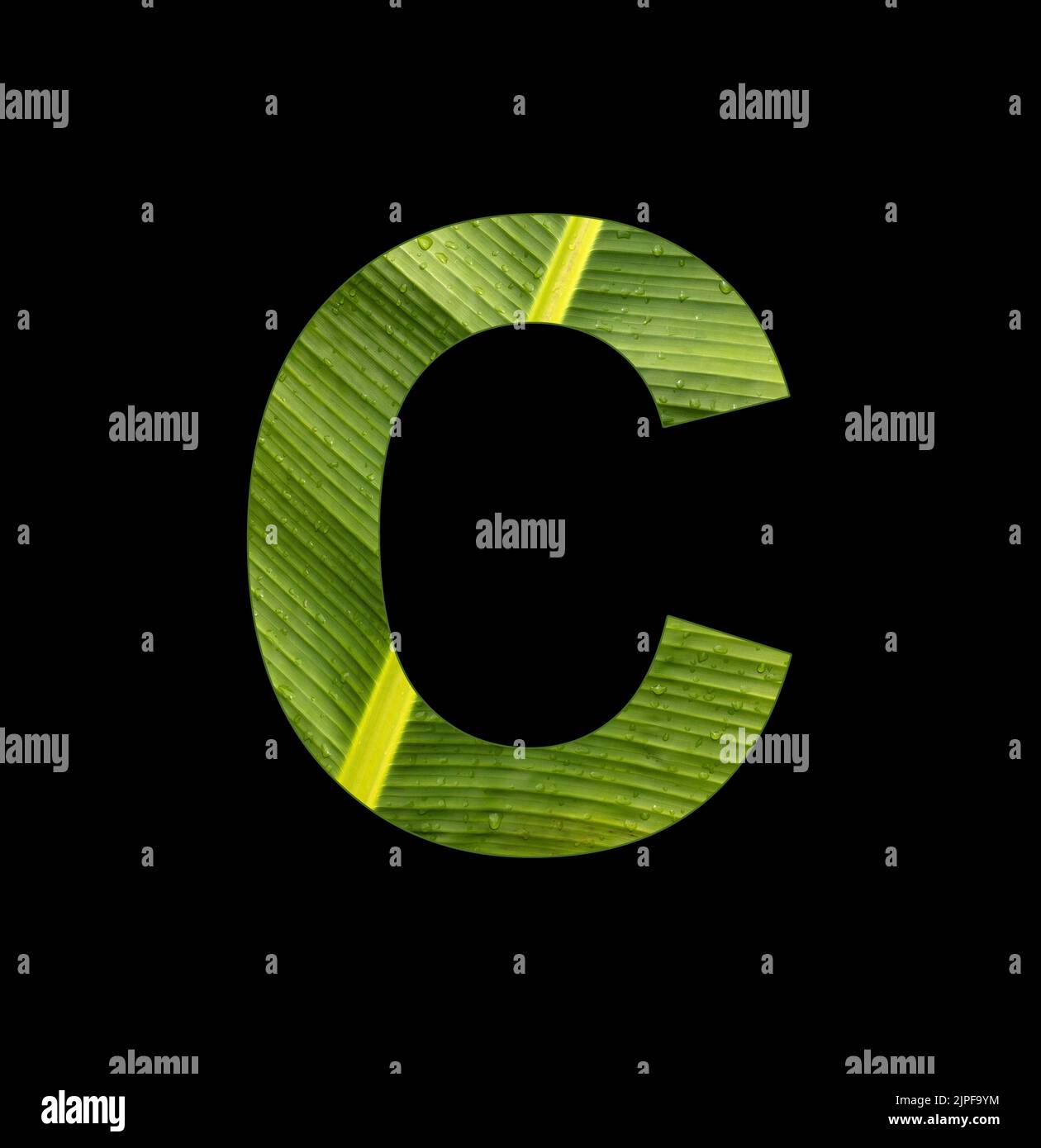 Alphabet letter C - Banana leaf background, natural background Stock Photo
