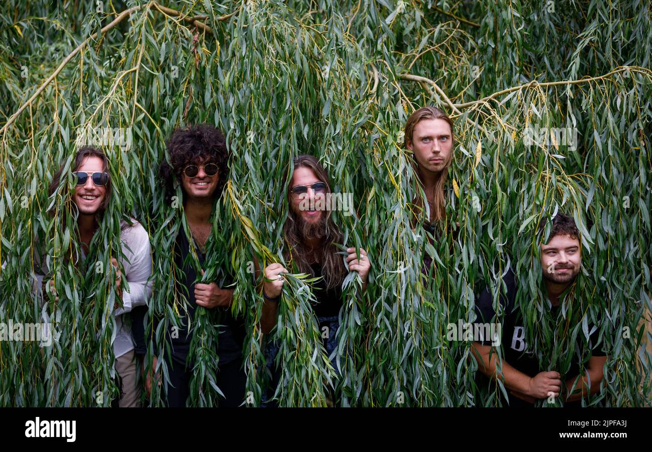 Five men poke their heads through weeping willow tree branches pulling funny faces. Rock band photo shoot Stock Photo