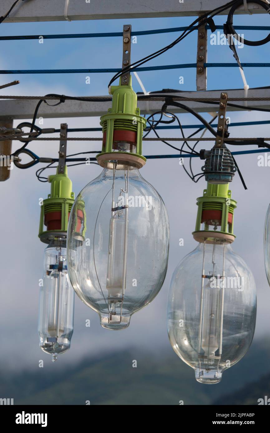 Three large industrial light bulbs Stock Photo