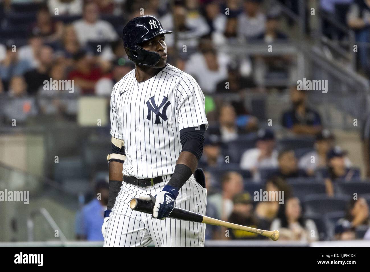 Yankees background 2024
