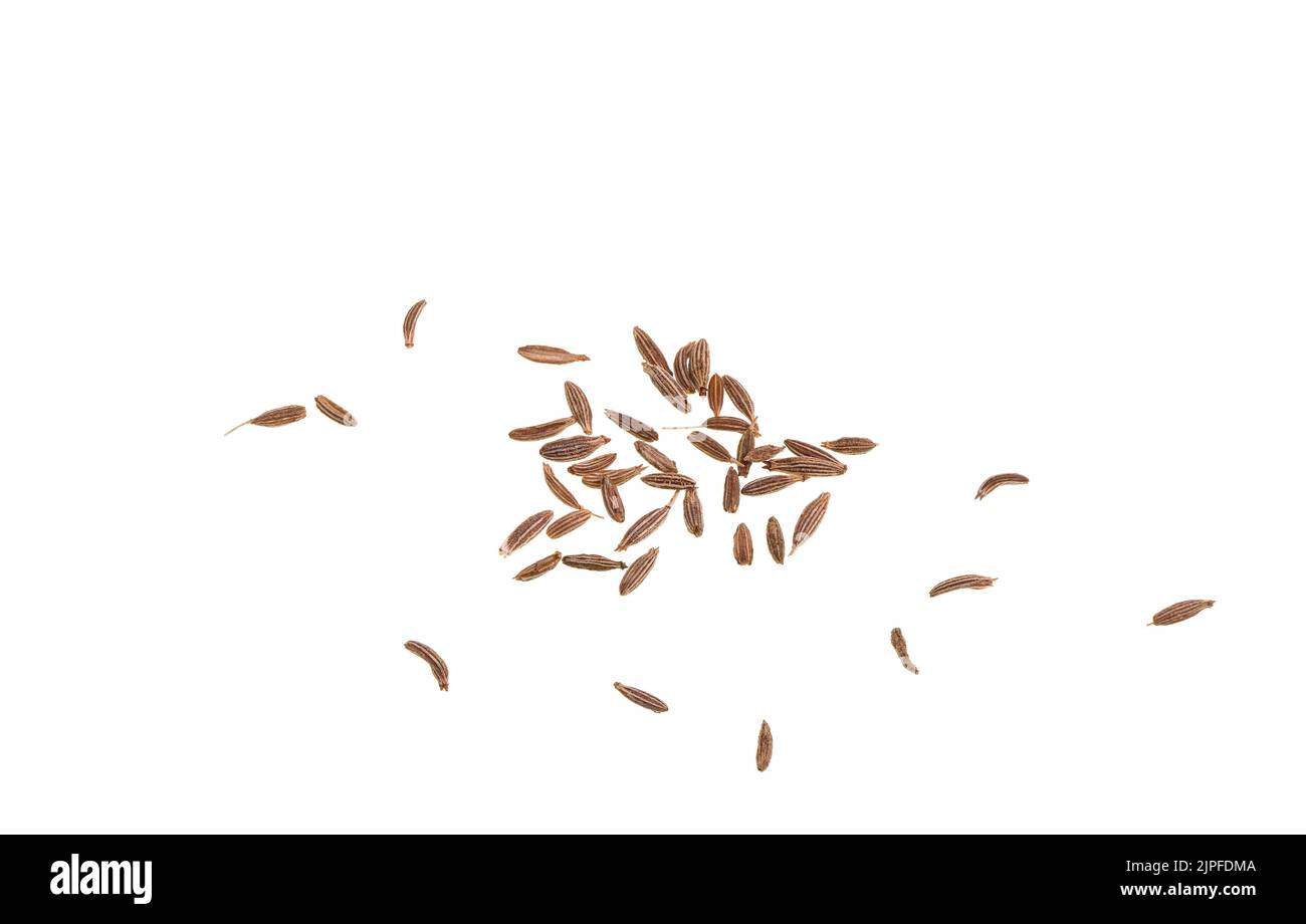 Cumin is a flowering plant, Cuminum cyminum, in the family Apiaceae, native to the Irano