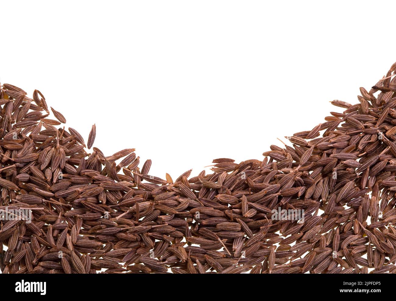 Cumin is a flowering plant, Cuminum cyminum, in the family Apiaceae, native to the Irano
