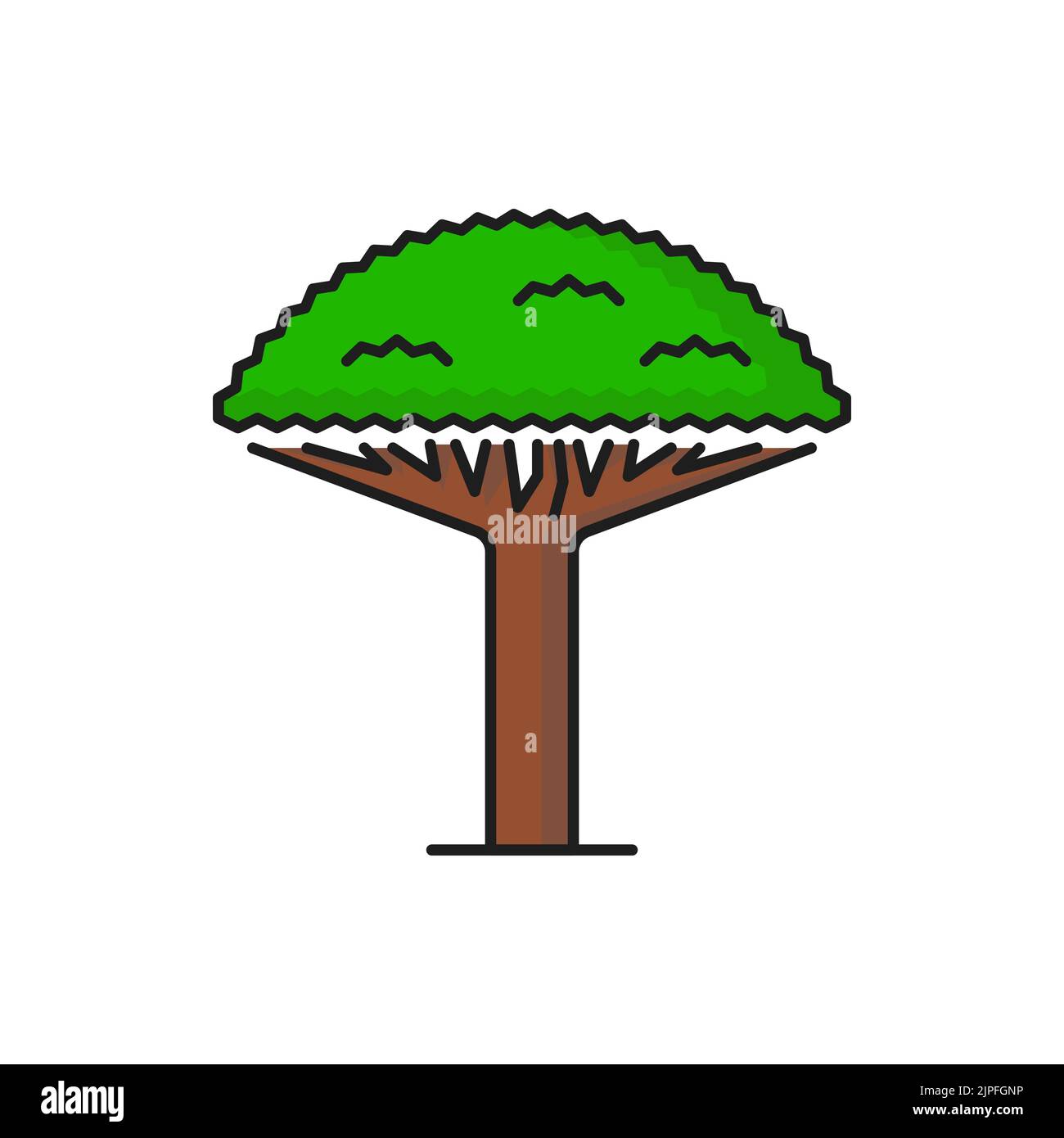 Green tropical tree icon for forest jungle park or beach, vector ...