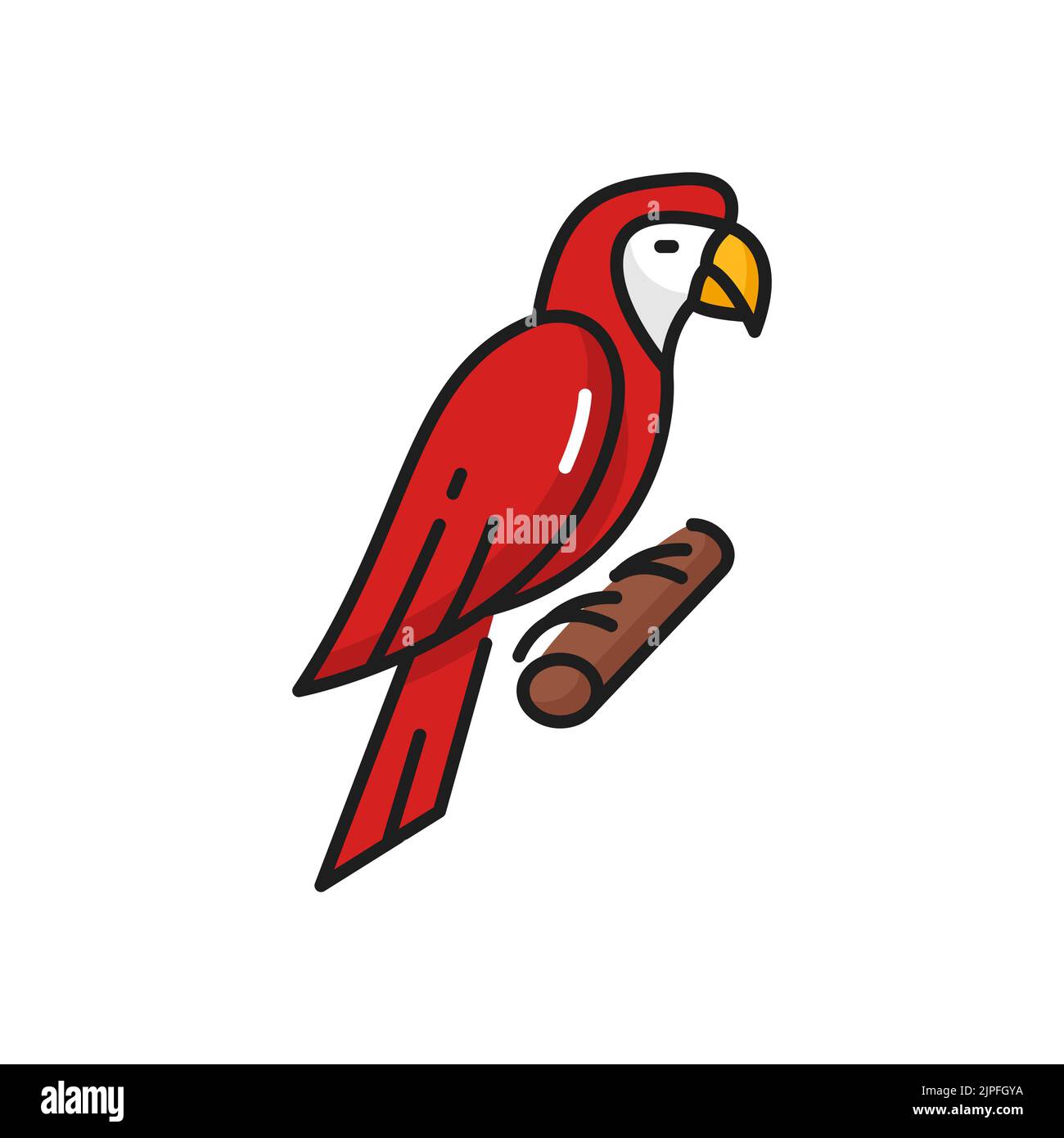Macaw exotic parrot bird of pirate captain sitting on branch isolated red color fowl. Vector rainforest jungle fauna habitat, exotic feathered animal. Friendly tropical macaw, pirate buccaneer pet Stock Vector