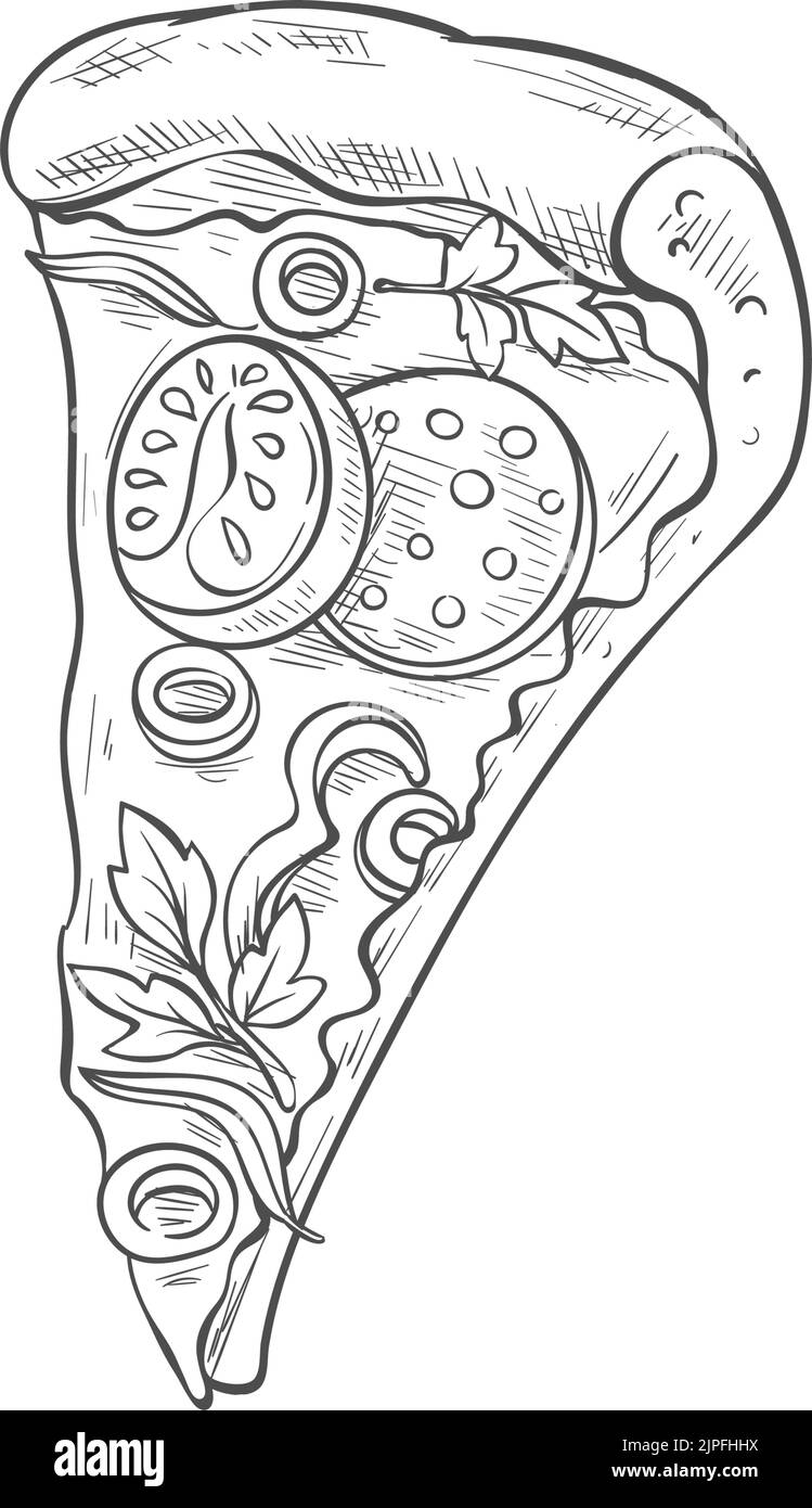 Vegetarian pizza with tomatoes and basil leaves isolated piece. Vector