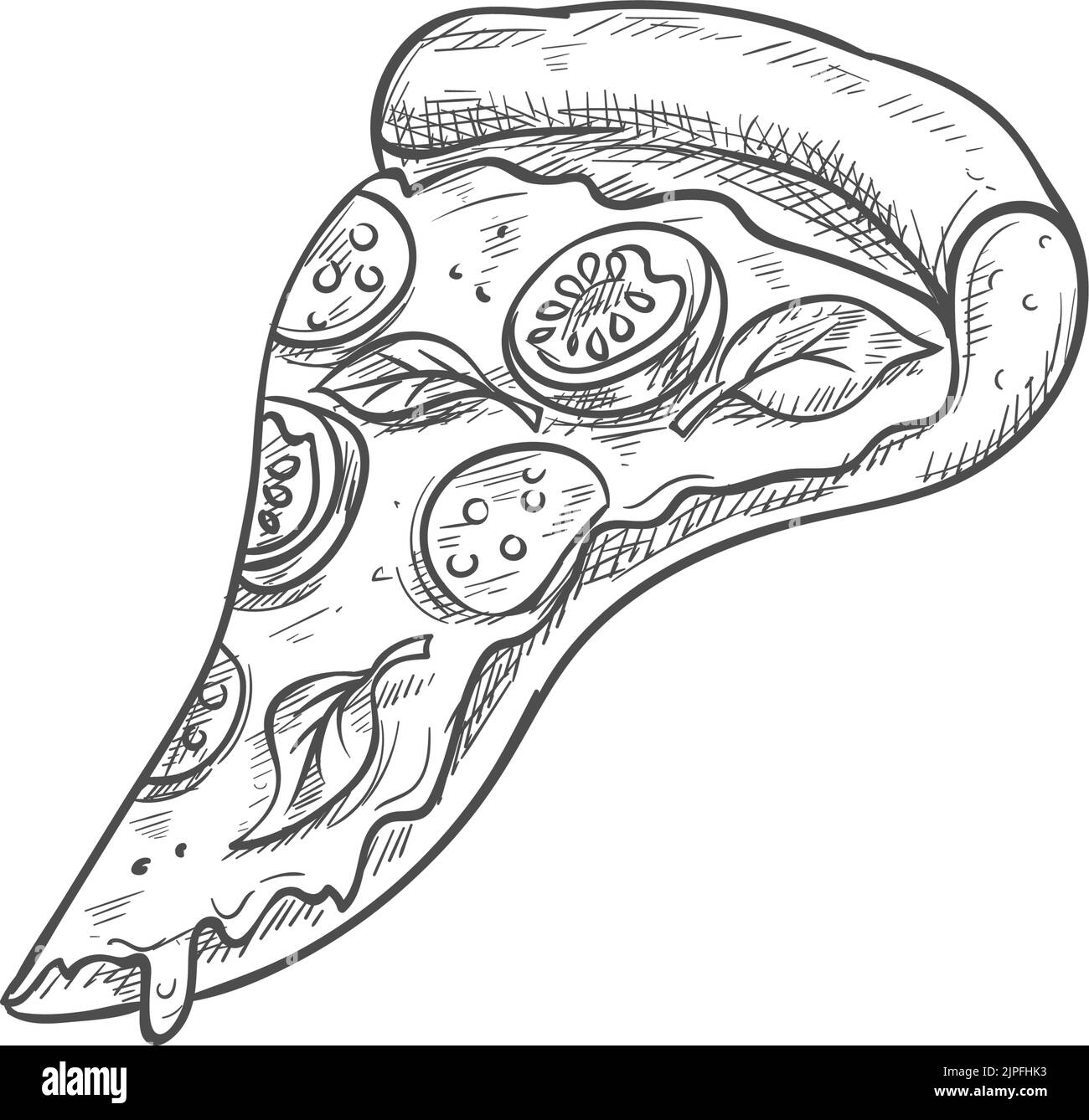 Vegetarian pizza with tomatoes and basil leaves isolated piece. Vector