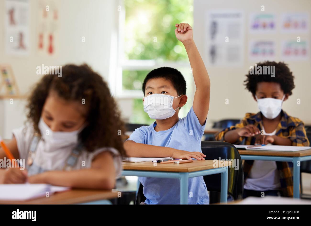 School student raising hand to volunteer, participate and answer question at class lesson in covid pandemic. Curious, smart and clever young boy Stock Photo