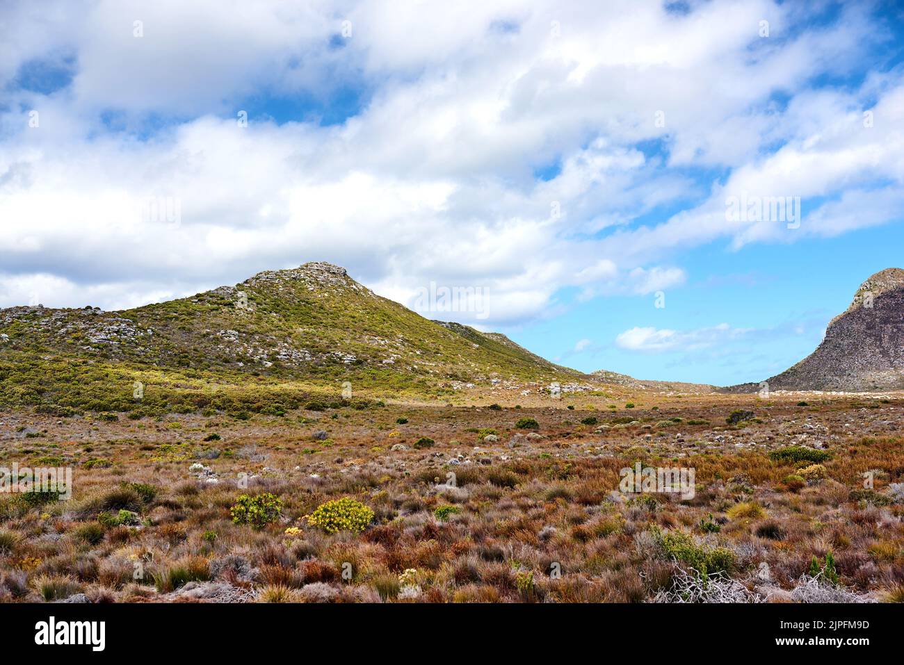 Cape Point National Park. The wilderness of Cape Point National Park. Stock Photo