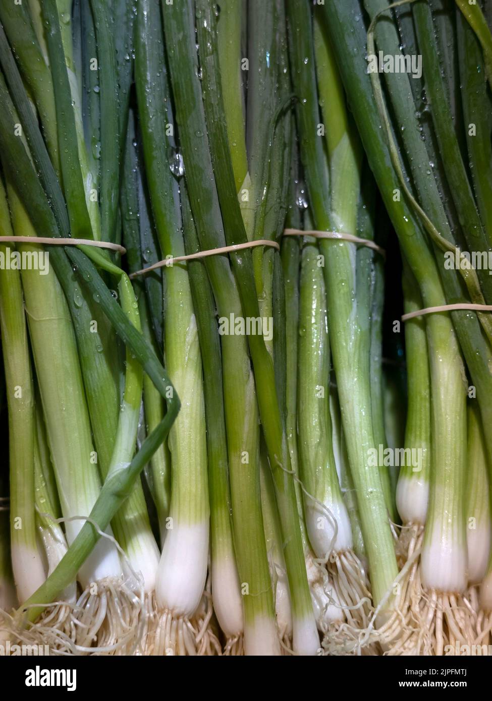 Fresh bunches of Salad onions at a food market Stock Photo - Alamy