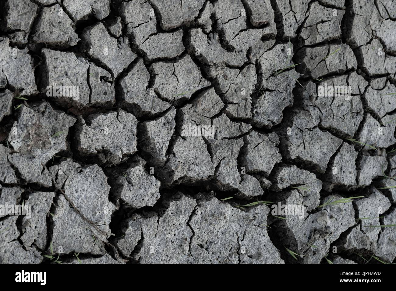 cracked and dried mud as background and texture Stock Photo