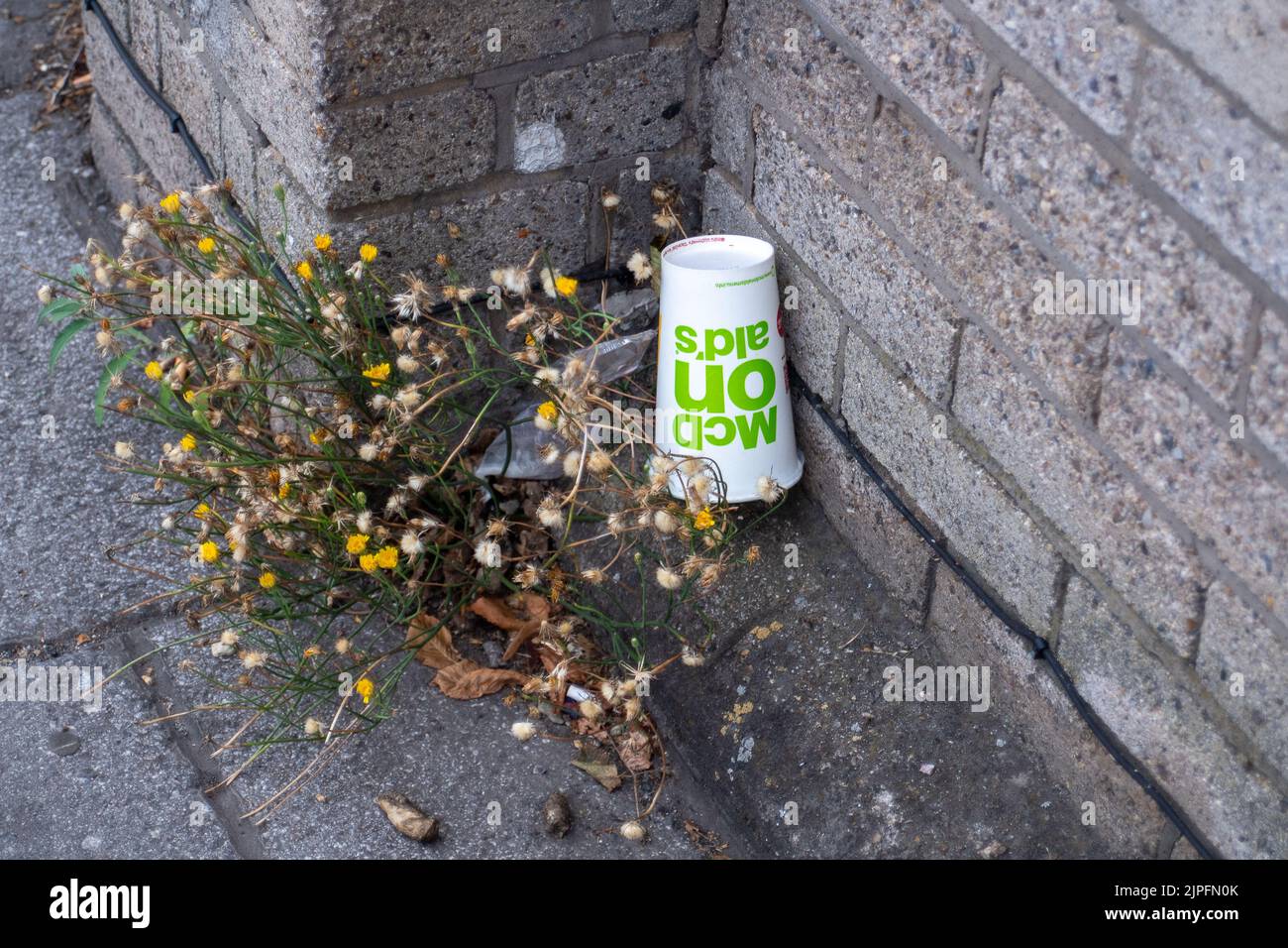 Slough, Berkshire, UK. 17th August, 2022. McDonald's litter discarded by customers is a common sight in Slough. Credit: Maureen McLean/Alamy Stock Photo