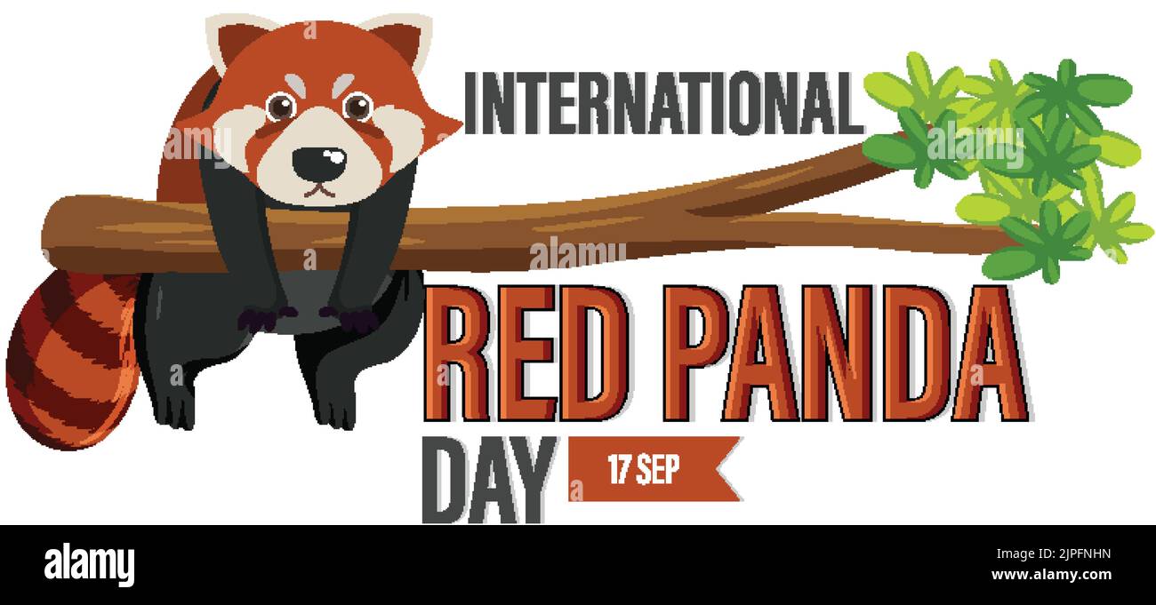 International Red Panda Day illustration Stock Vector Image & Art Alamy