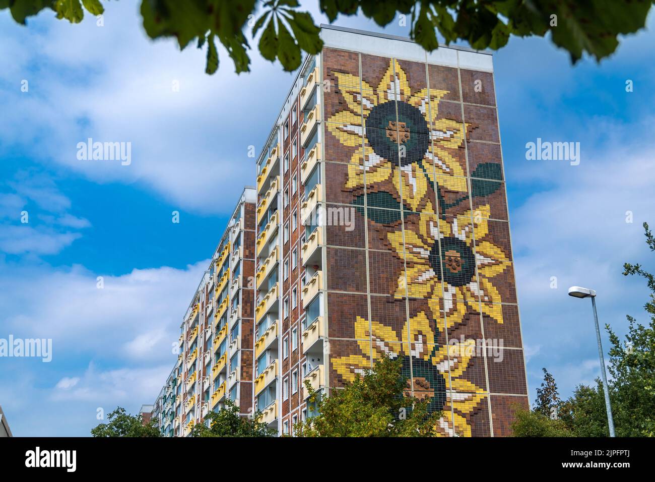 Rostock, Germany. 16th Aug, 2022. View of the Sunflower House in the