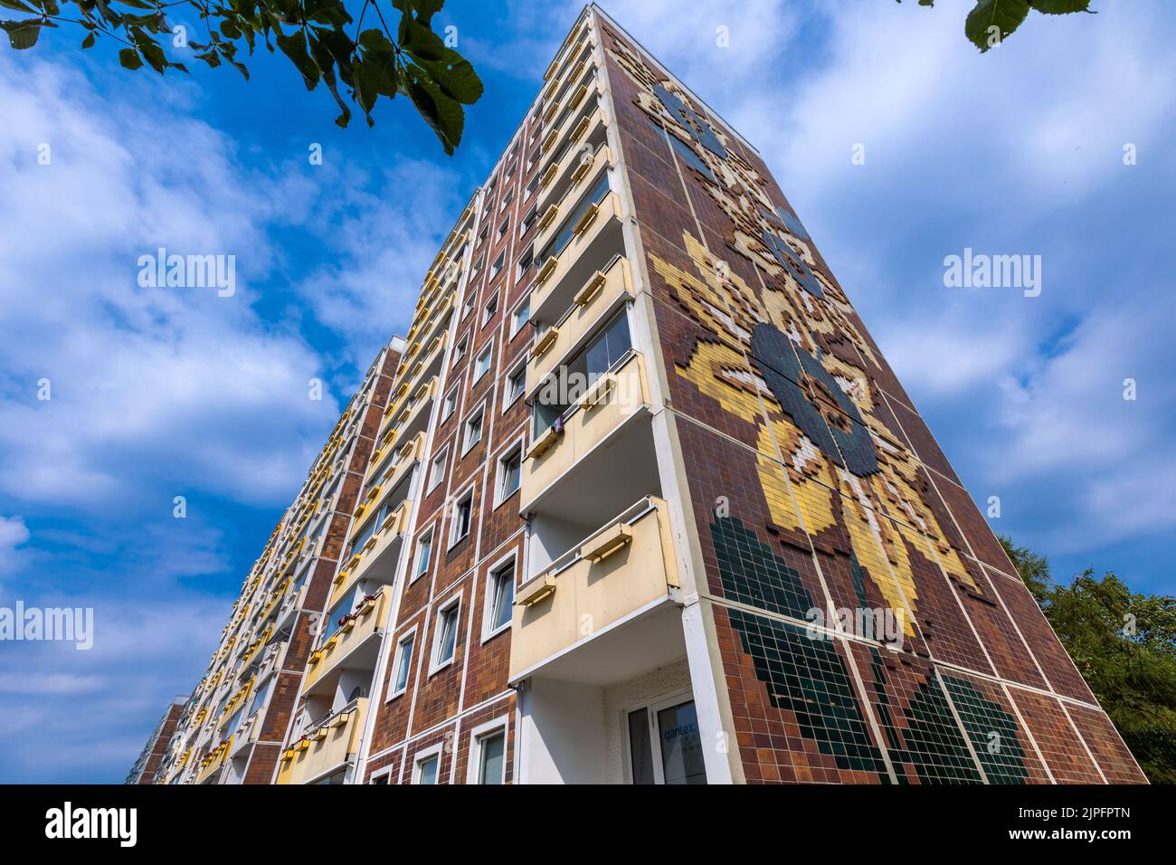 Rostock, Germany. 16th Aug, 2022. View of the Sunflower House in the Rostock district of