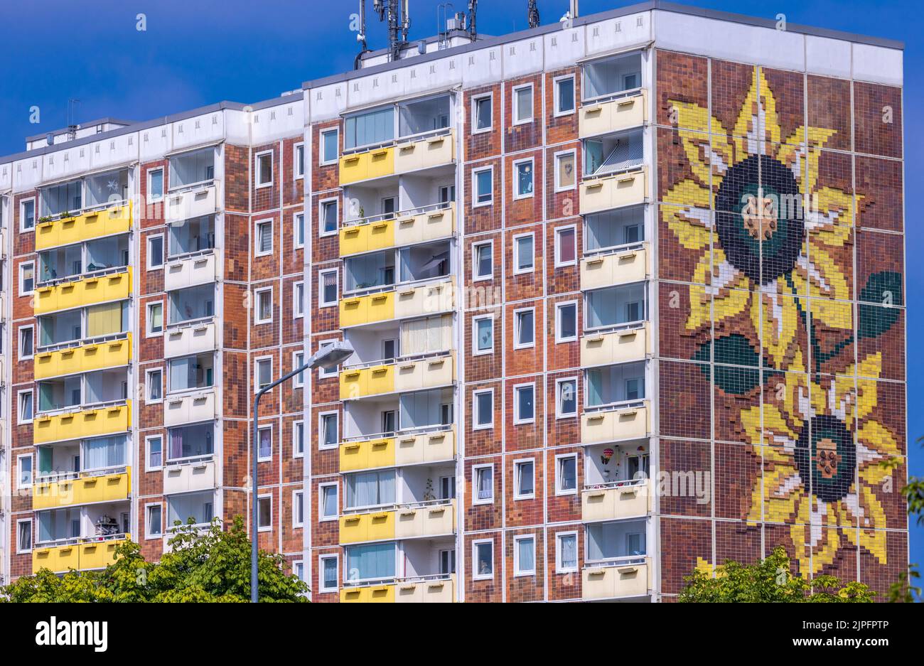 Rostock, Germany. 16th Aug, 2022. View of the Sunflower House in the Rostock district of